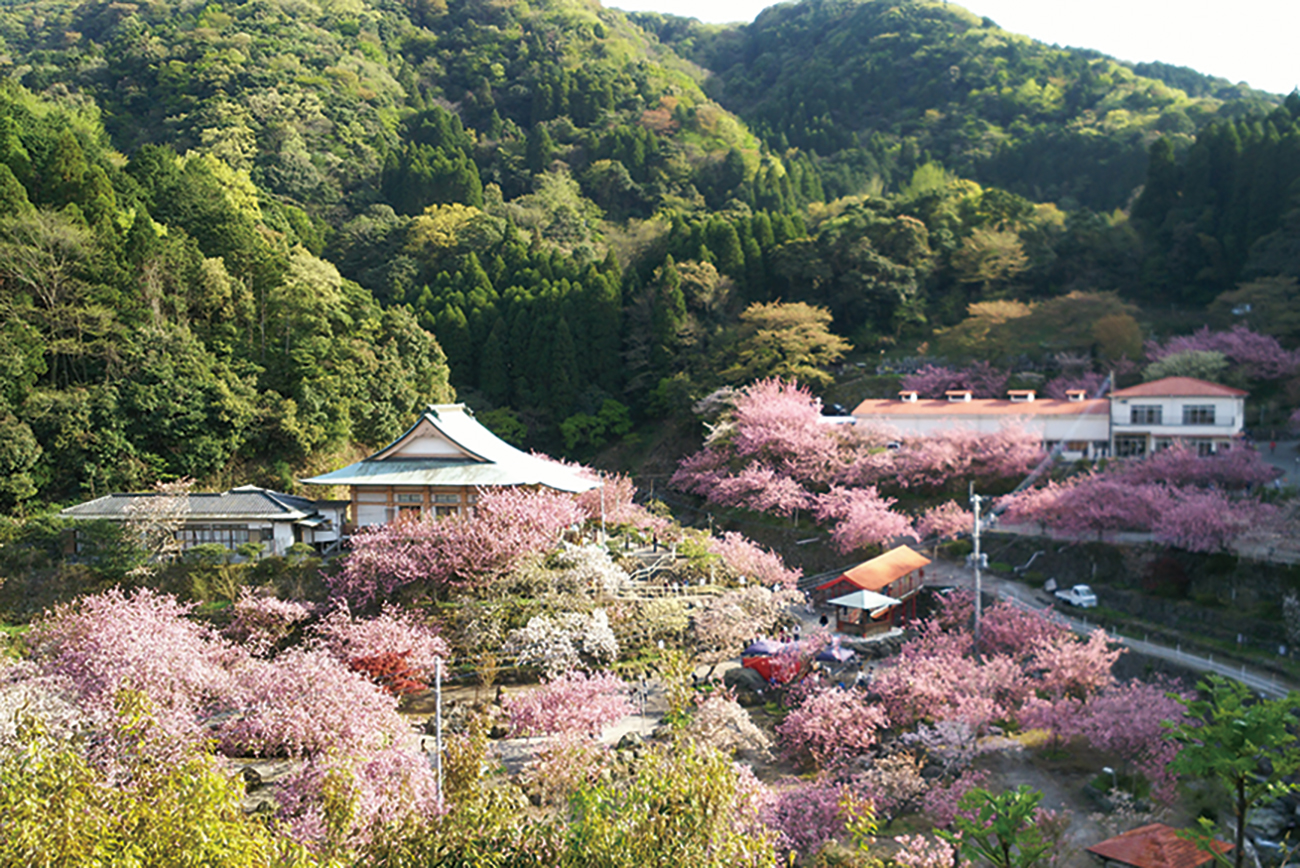 一心寺