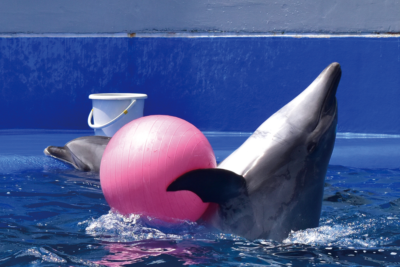 大分マリーンパレス水族館『うみたまご』