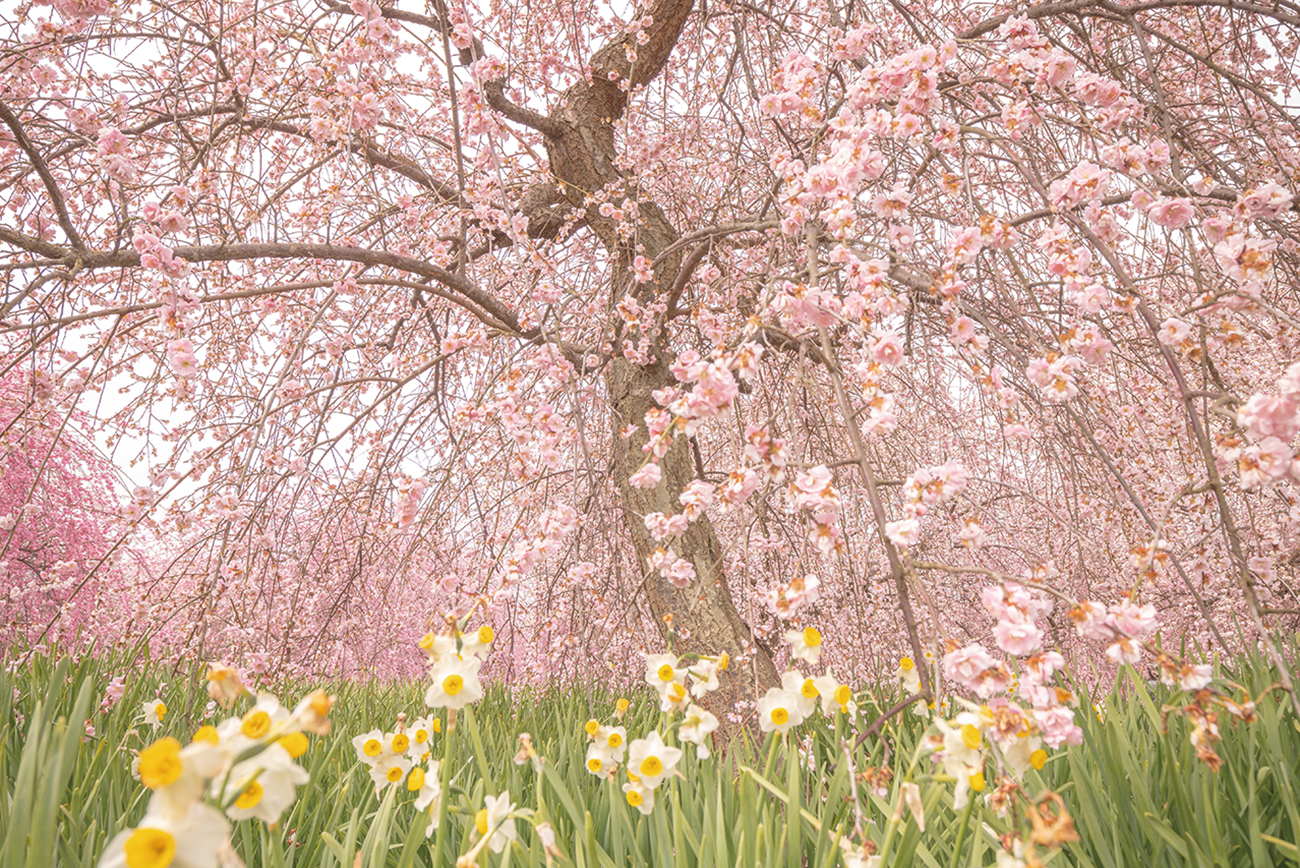 和泉リサイクル環境公園